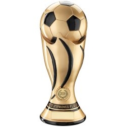 finalist World Cup - 2